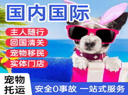 北京大兴机场货运国际宠物托运 【国